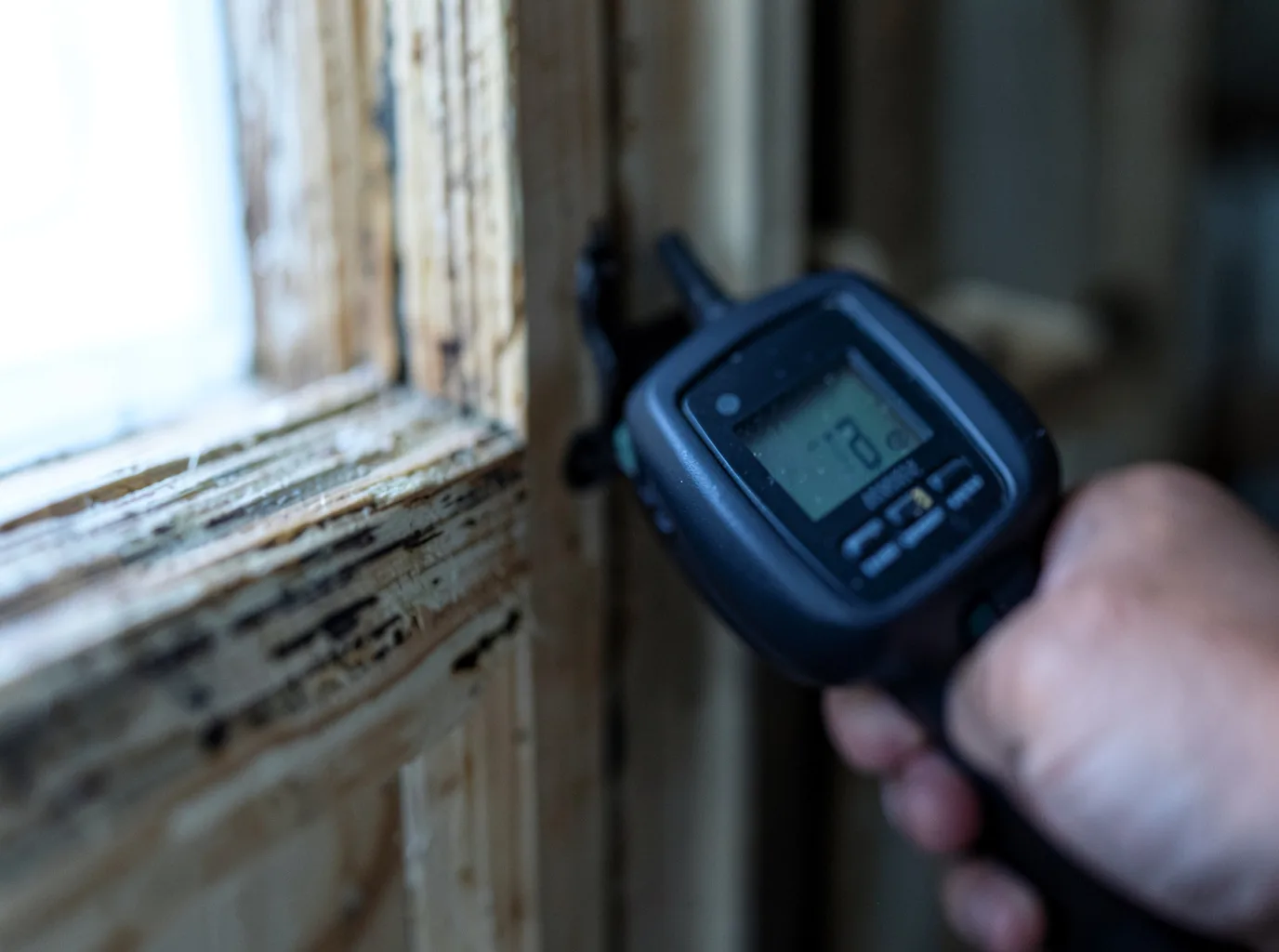 Water Damage Restoration San Antonio, FL FAQs